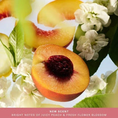 Rare Beauty Mini Find Comfort collection on display suggests easy layering for long-lasting fragrance.