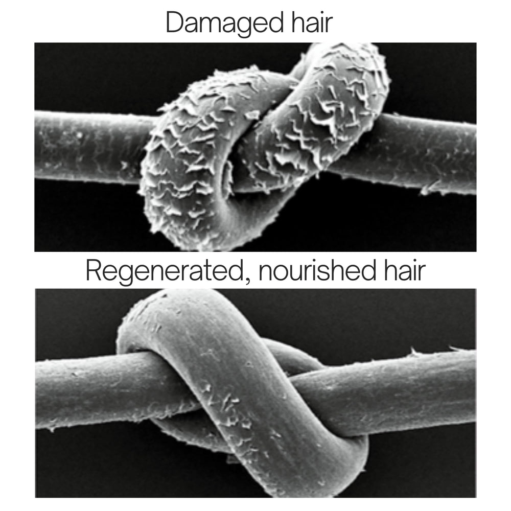 Rausch Chamomile-Amaranth Repair Shampoo applied to blond hair for elasticity and shine
