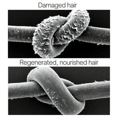 Rausch Chamomile-Amaranth Repair Shampoo applied to blond hair for elasticity and shine