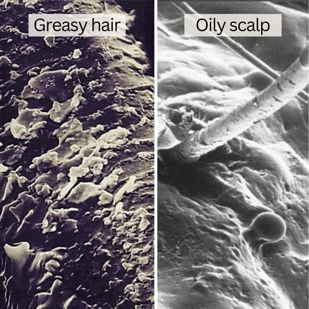 RAUSCH Seaweed Degreasing Shampoo seaweed-ingredient close-up