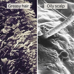 RAUSCH Seaweed Degreasing Shampoo seaweed-ingredient close-up
