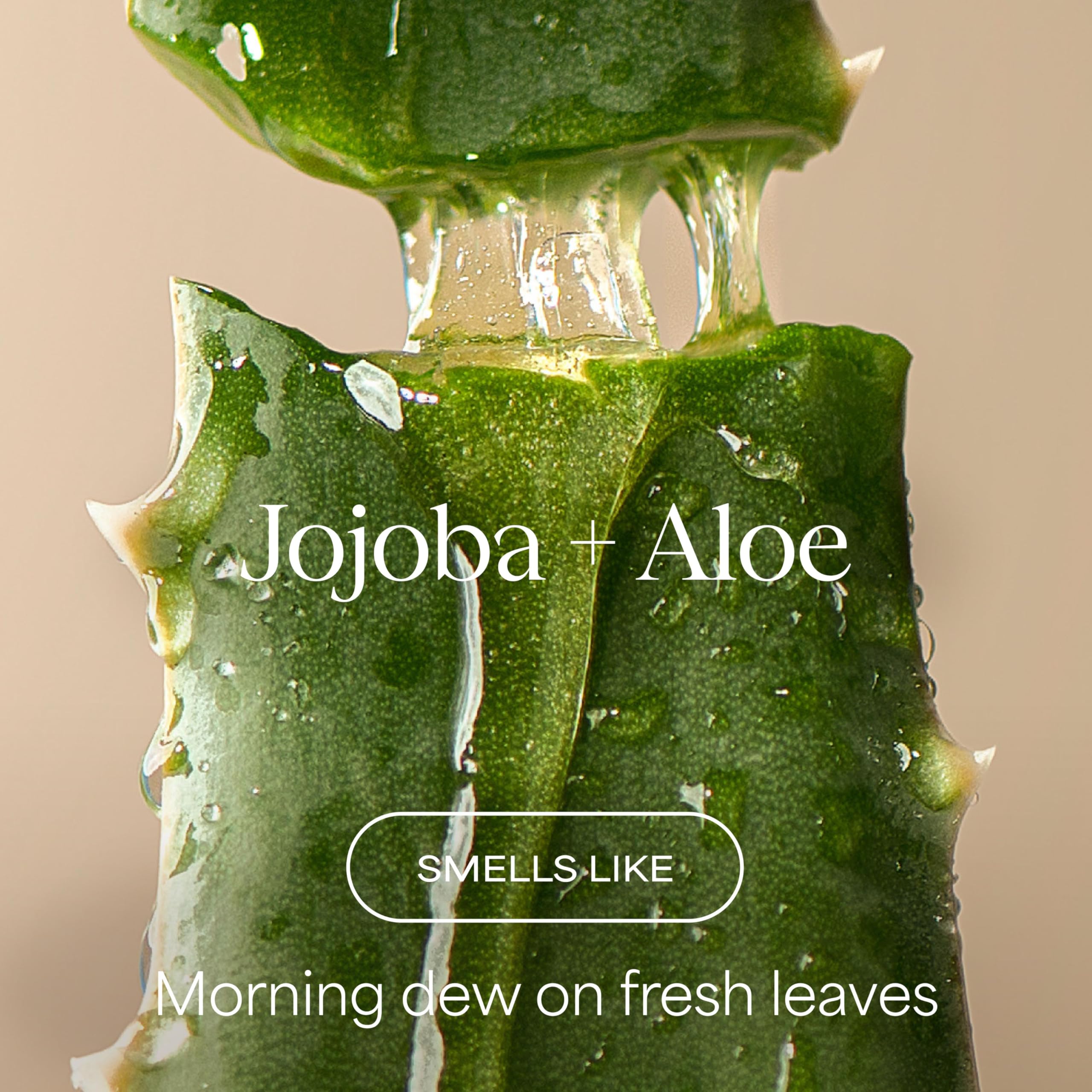 Raw Sugar Jojoba oil drops nourish and hydrate the scalp.