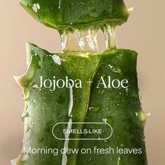 Raw Sugar Jojoba oil drops nourish and hydrate the scalp.