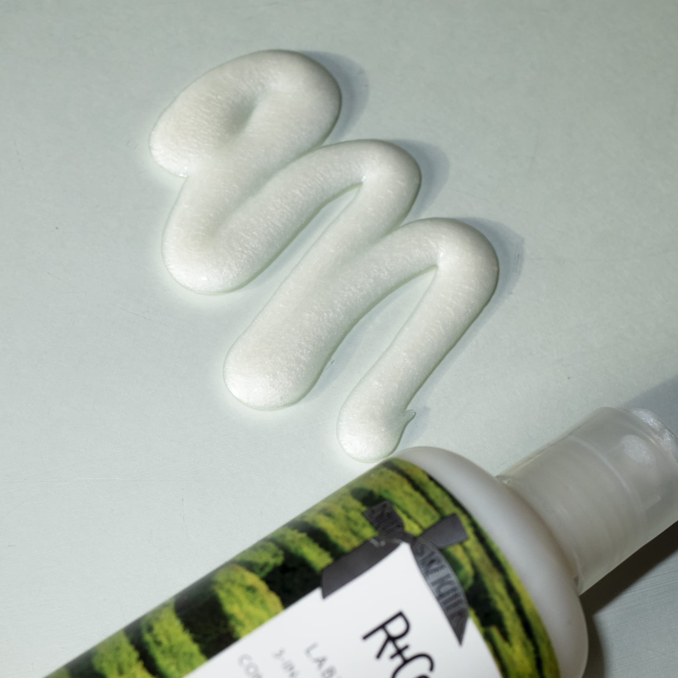 R+Co Labyrinth ingredients with succulent plants signaling hydration benefits.