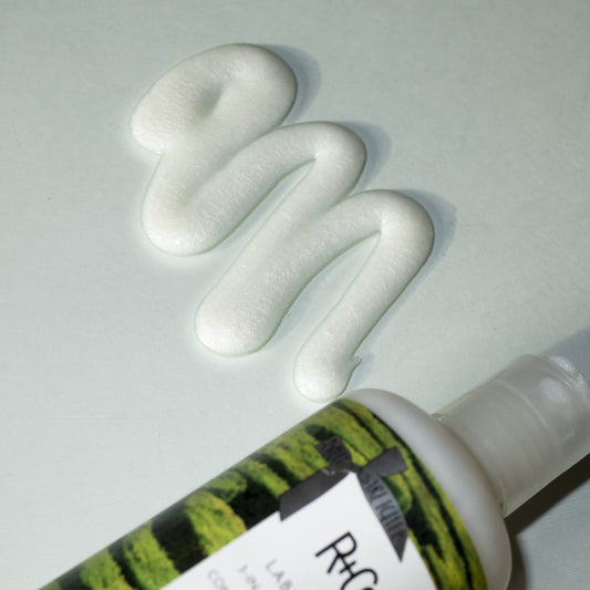 R+Co Labyrinth ingredients with succulent plants signaling hydration benefits.