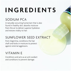 R+Co Television Perfect Hair Shampoo provides radiant shine and smoother texture.