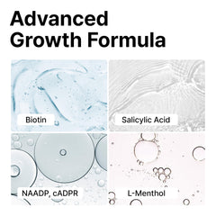 Refilled Booster Plus Moisture demonstrates biotin and lemon extracts for scalp nourishment.