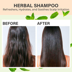Relaxcation rosemary aloe shampoo bar rosemary leaves indicating botanical freshness