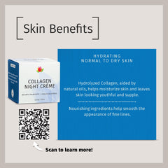 Reviva Labs Collagen Night Cream ingredient panel highlights hydrolyzed collagen.