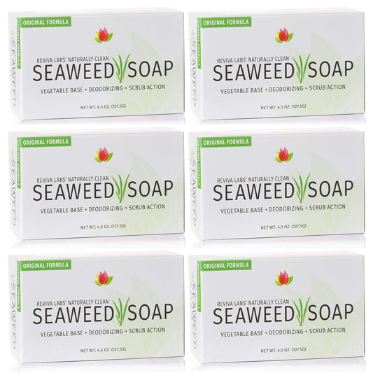 Reviva Seaweed Soap 6 Pack pack shot showing a natural exfoliating bar.