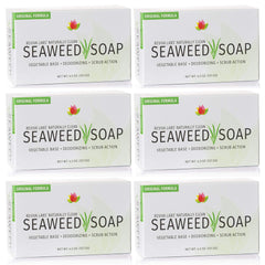 Reviva Seaweed Soap 6 Pack pack shot showing a natural exfoliating bar.