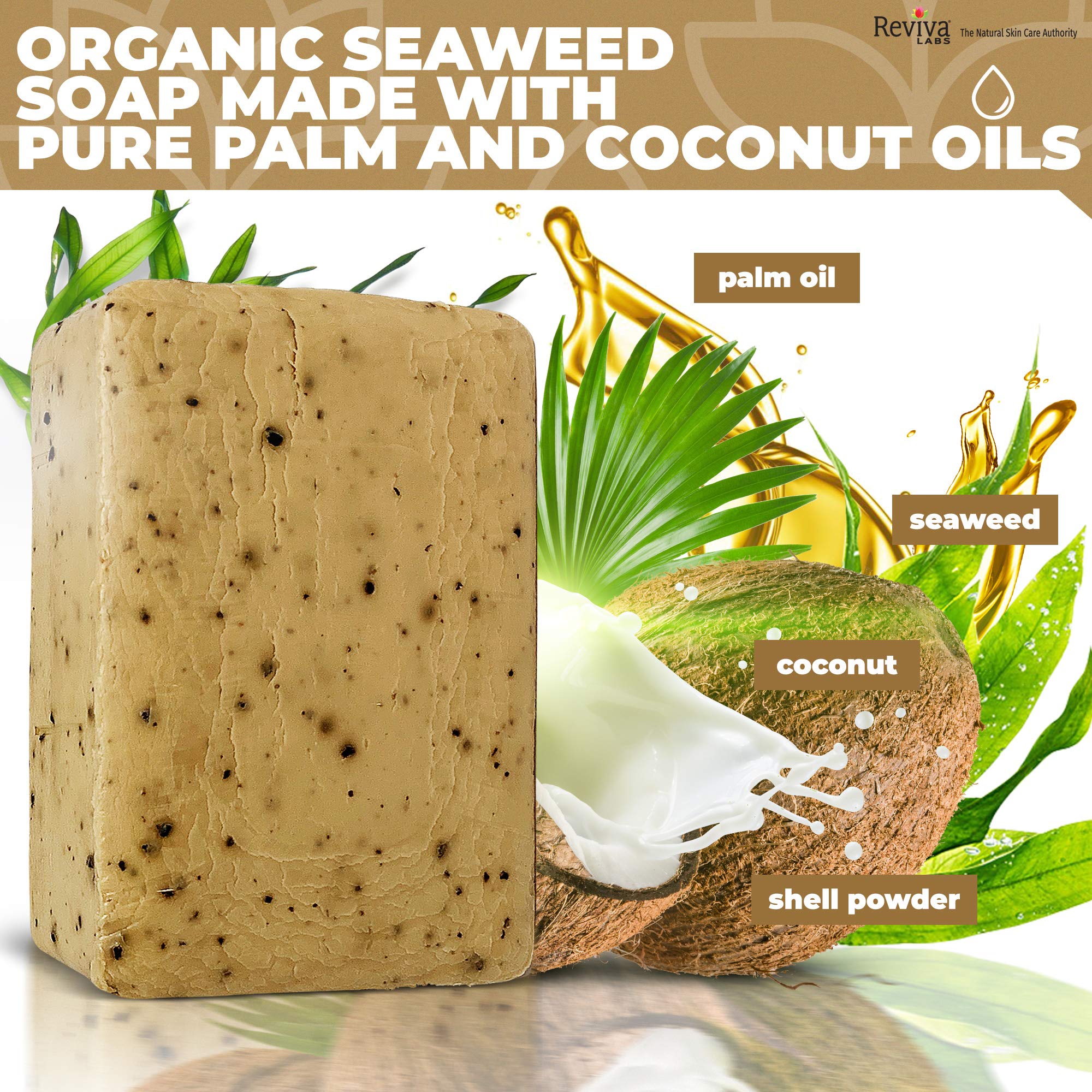 Reviva Seaweed Soap detox/minerals image conveys mineral-rich cleanse for pores.