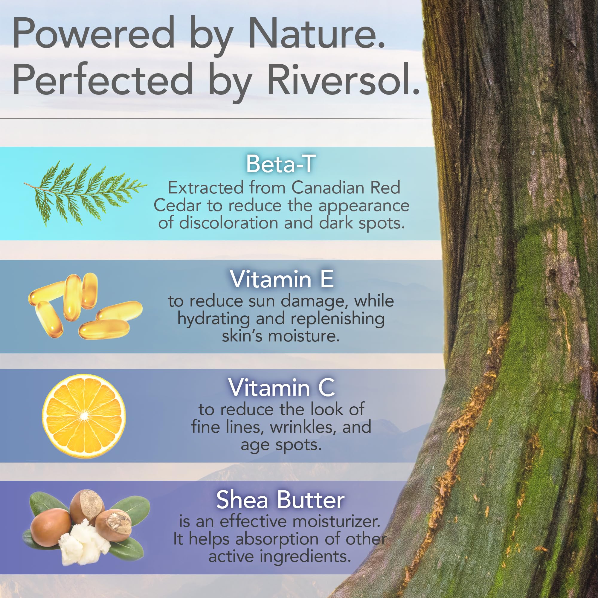 Riversol jar label highlighting Beta-T antioxidant and dermatologist-developed formula.