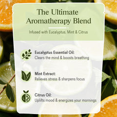 Romancy mint zest aroma from shower steamer for invigorating scent