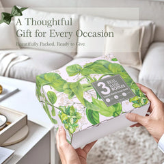 ROMIIE ZOI gift-ready packaging suitable for housewarmings and self-care.