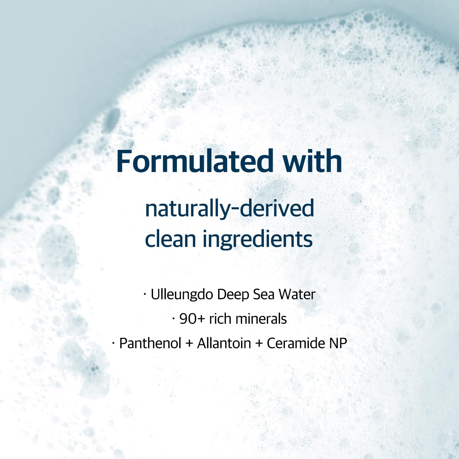 ROUND LAB 1025 Dokdo Cleanser ceramide-np composition highlights barrier support