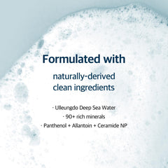ROUND LAB 1025 Dokdo Cleanser ceramide-np composition highlights barrier support