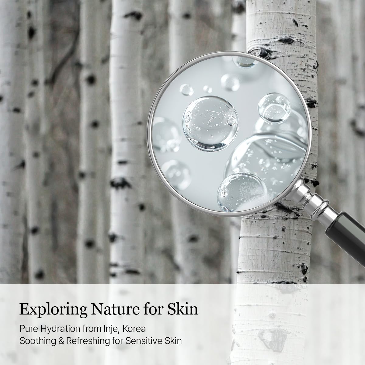 ROUND LAB Birch Juice Intensive Cream hyaluronic acid cue emphasizes deep hydration.