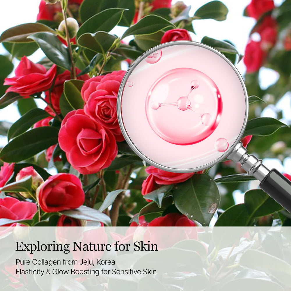 ROUND LAB Camellia Collagen PDRN Milky Toner camellia extract moisture close-up