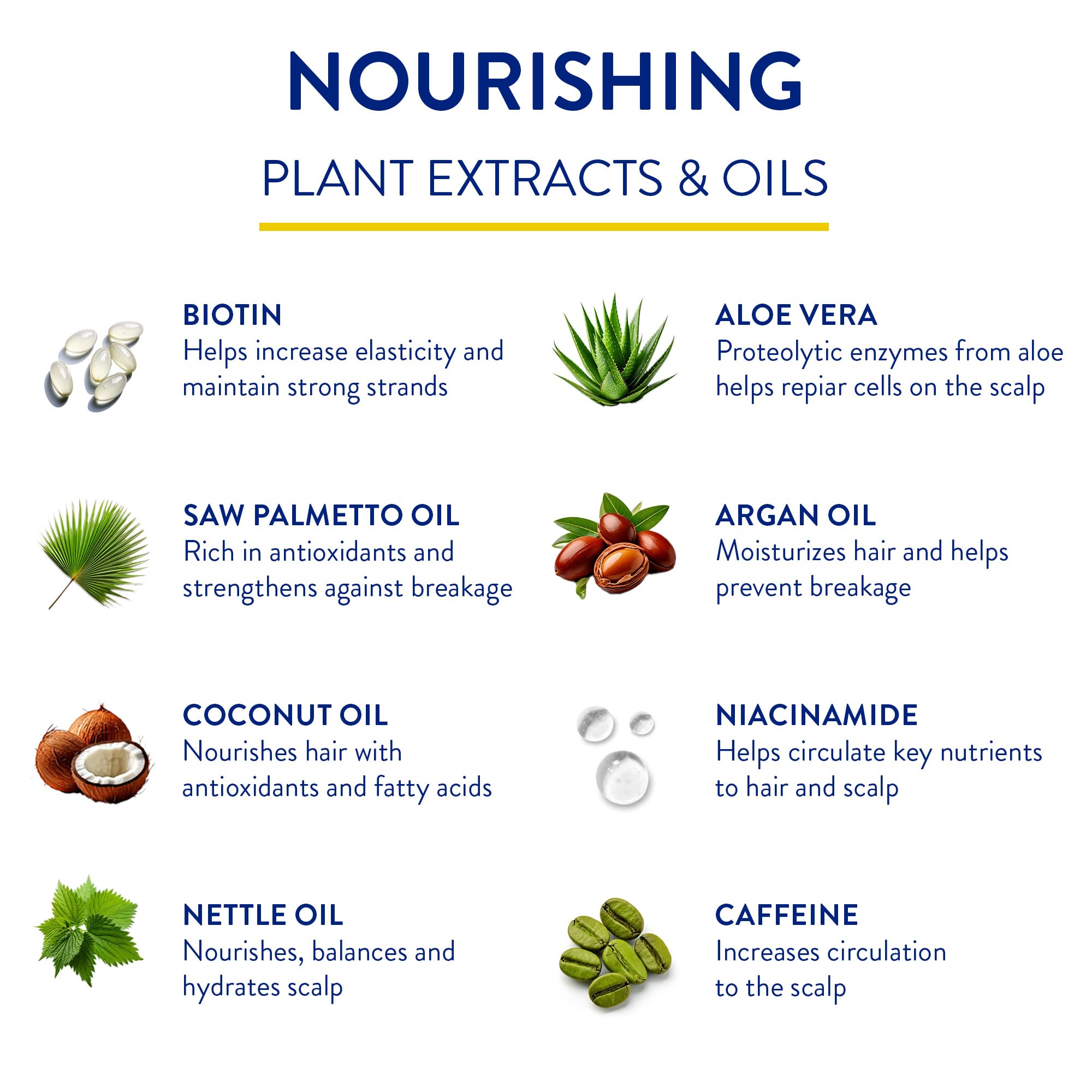Routine Wellness plant-based formula iconography highlighting gluten-free and vegan features