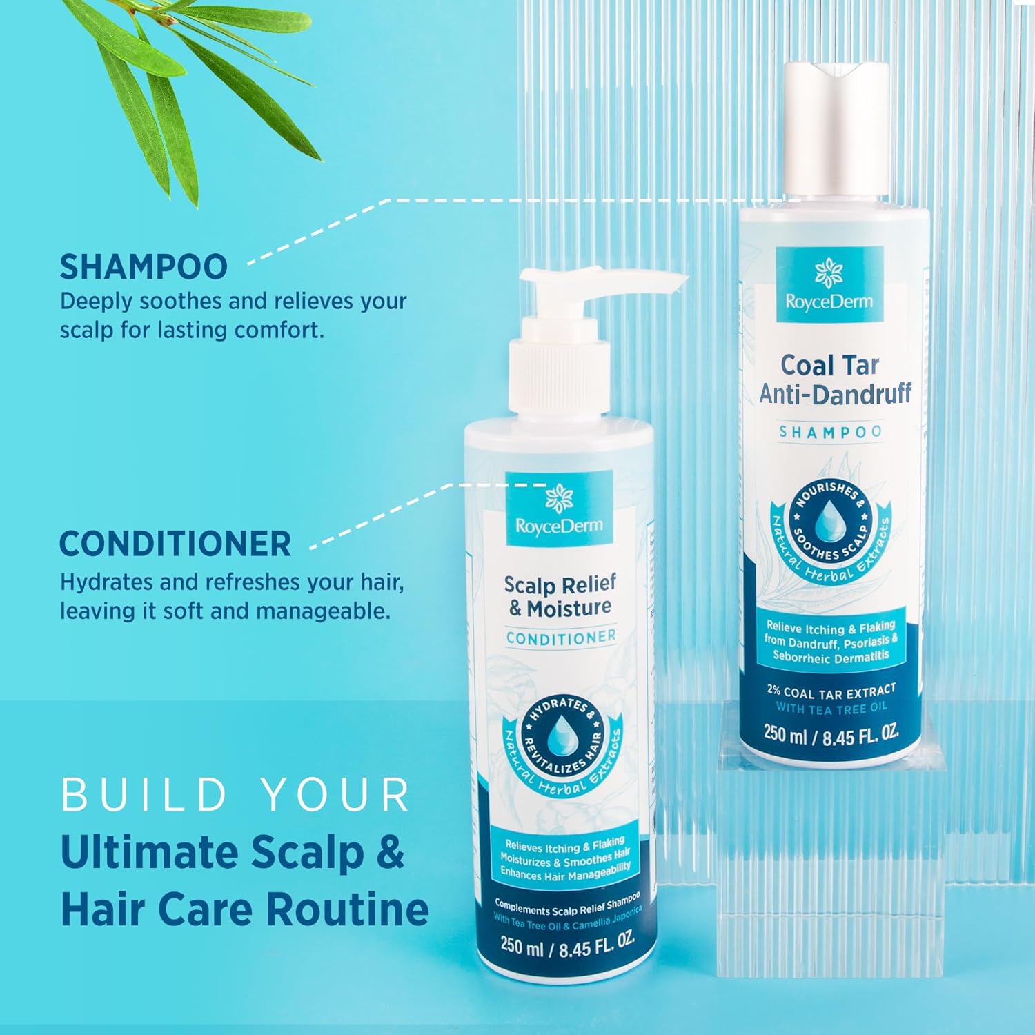 RoyceDerm Coal Tar Dandruff Shampoo helps reduce visible flakes and irritation.