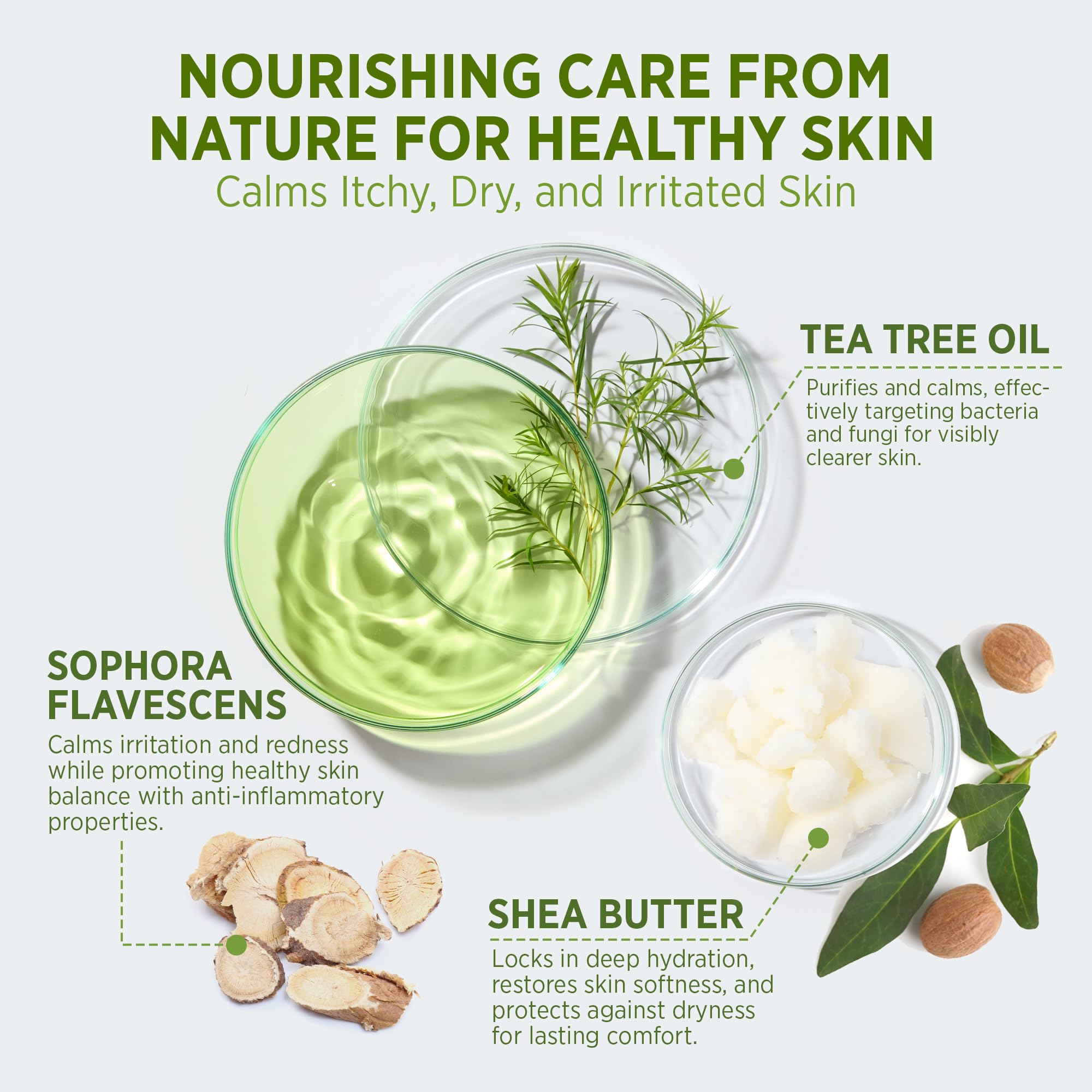 Roycederm tea tree leaves closeup emphasizing natural plant-based care