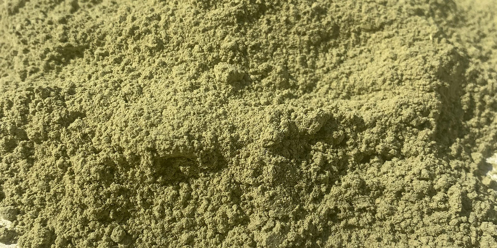 SAAFI AH ORGANICS Qasil Powder used as a face mask for gentle cleansing.