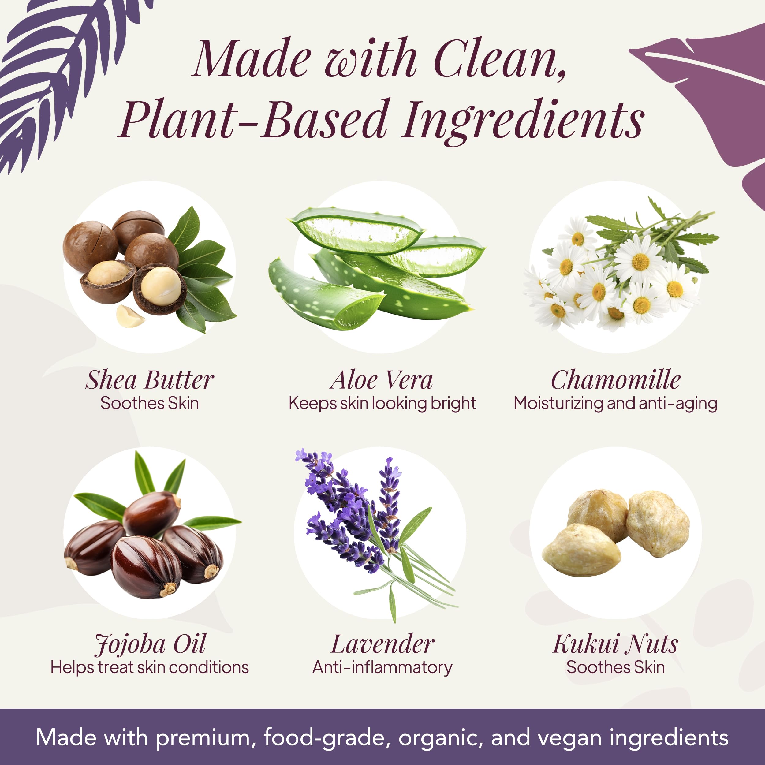 Saavy Naturals hand wash closeup Aloe and Shea illustration shows nourishing, skin-friendly ingredients.
