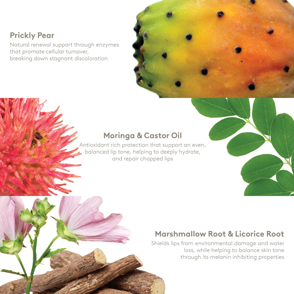 Prickly pear, moringa, and castor oil bottles from S'ABLE Labs.