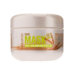 SALERM Wheat Germ Capillary Mask bottle for dry hair nourishes and adds shine