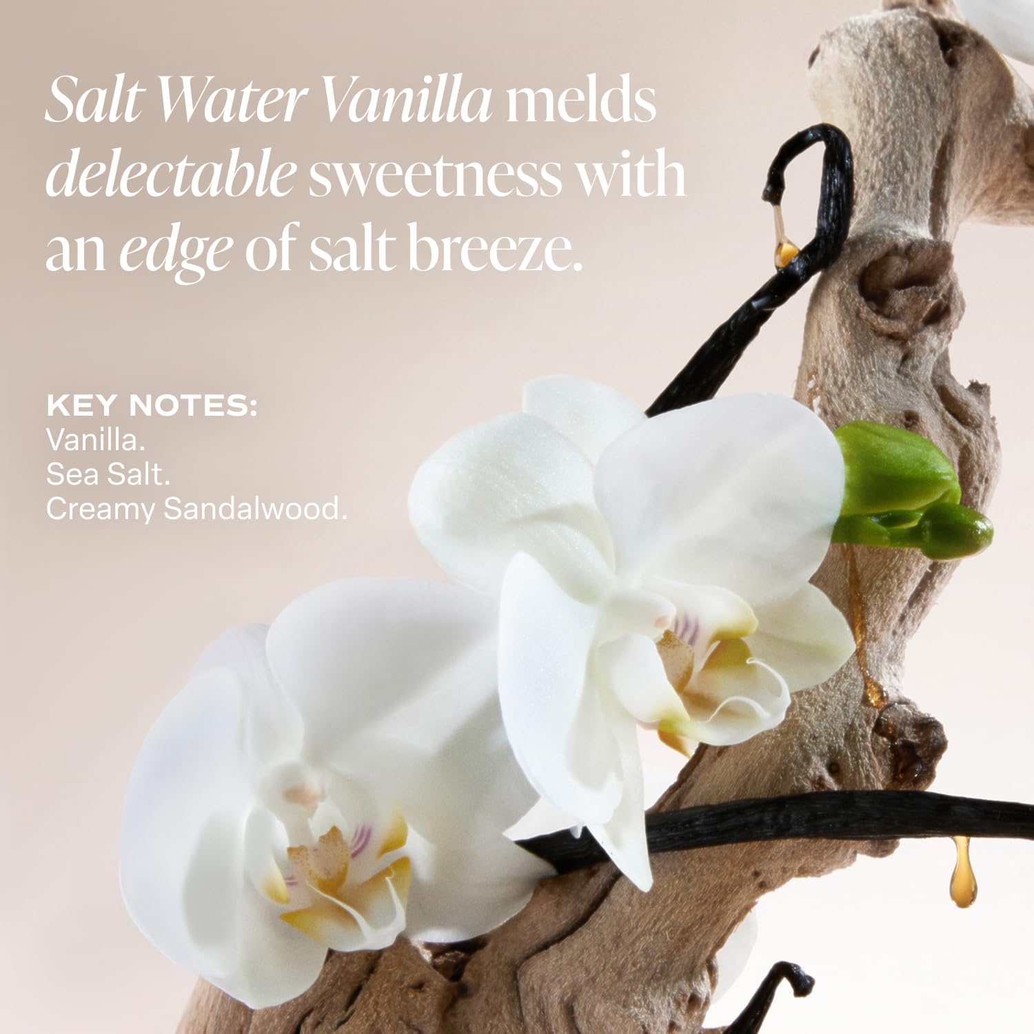 Saltair Body Lotion ingredients algae and cupuaçu butter showcased for nourishment.