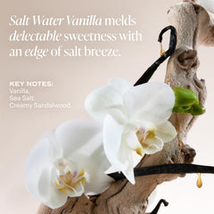 Saltair Body Lotion ingredients algae and cupuaçu butter showcased for nourishment.