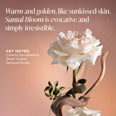 Saltair Santal Bloom label detail notes Rose and Jasmine accents.
