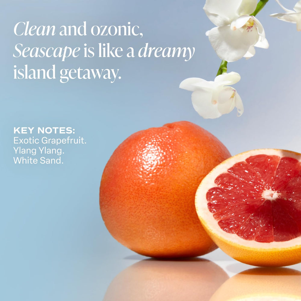 Saltair Seascape fragrance notes offer a refreshing ocean-inspired aroma.