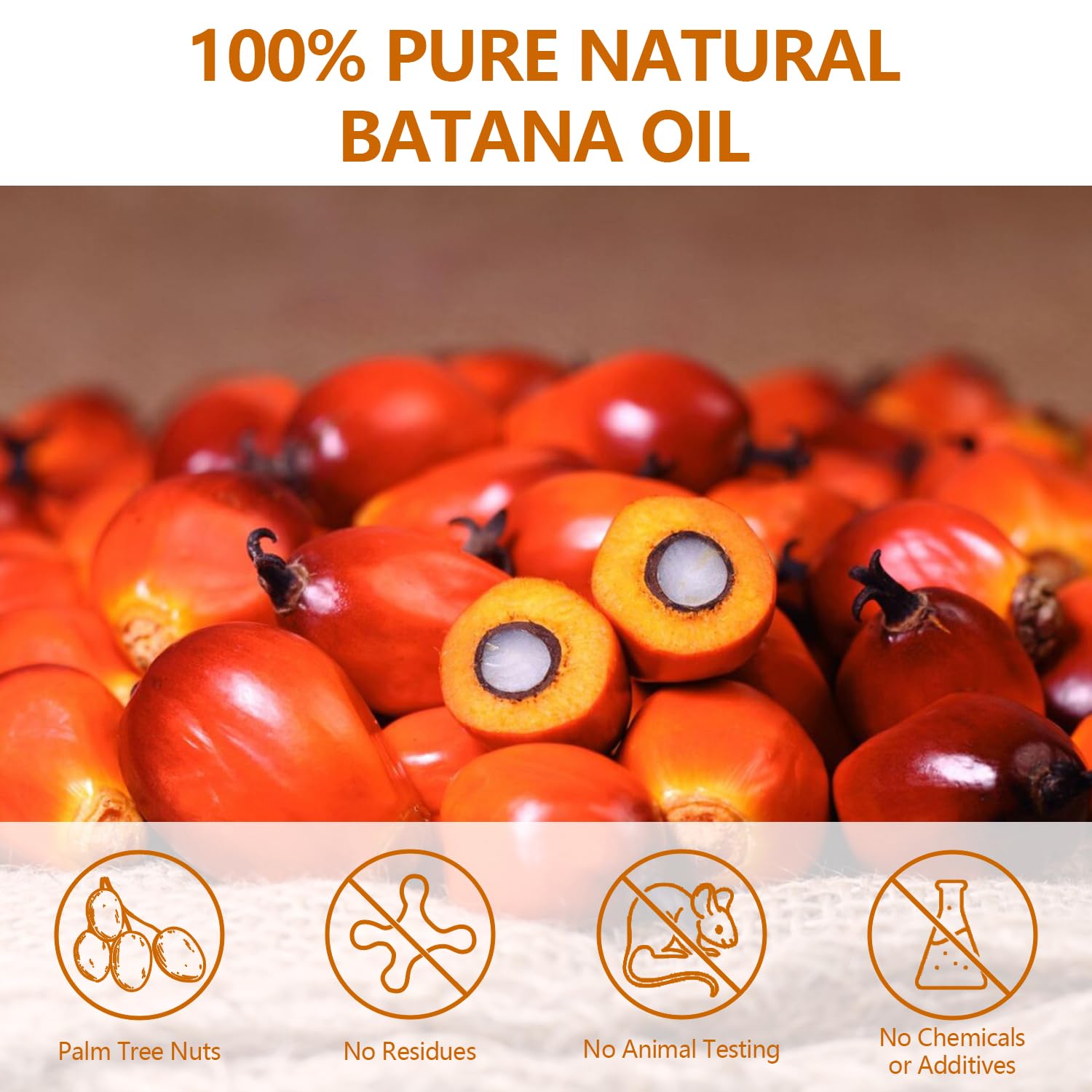 Samnyte Batana Oil applied to scalp for nourishment and shine