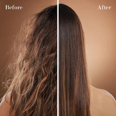 Saphira Healing Repair Conditioner label close-up communicates premium care and clarity