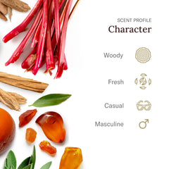 SCENT BEAUTY Stetson Spirit scent notes visual with bergamot and leather