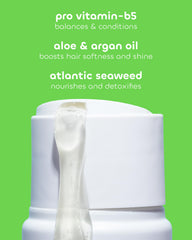 The Seaweed Bath Co. Balance shampoo bottle close-up highlights oil-control cleansing.