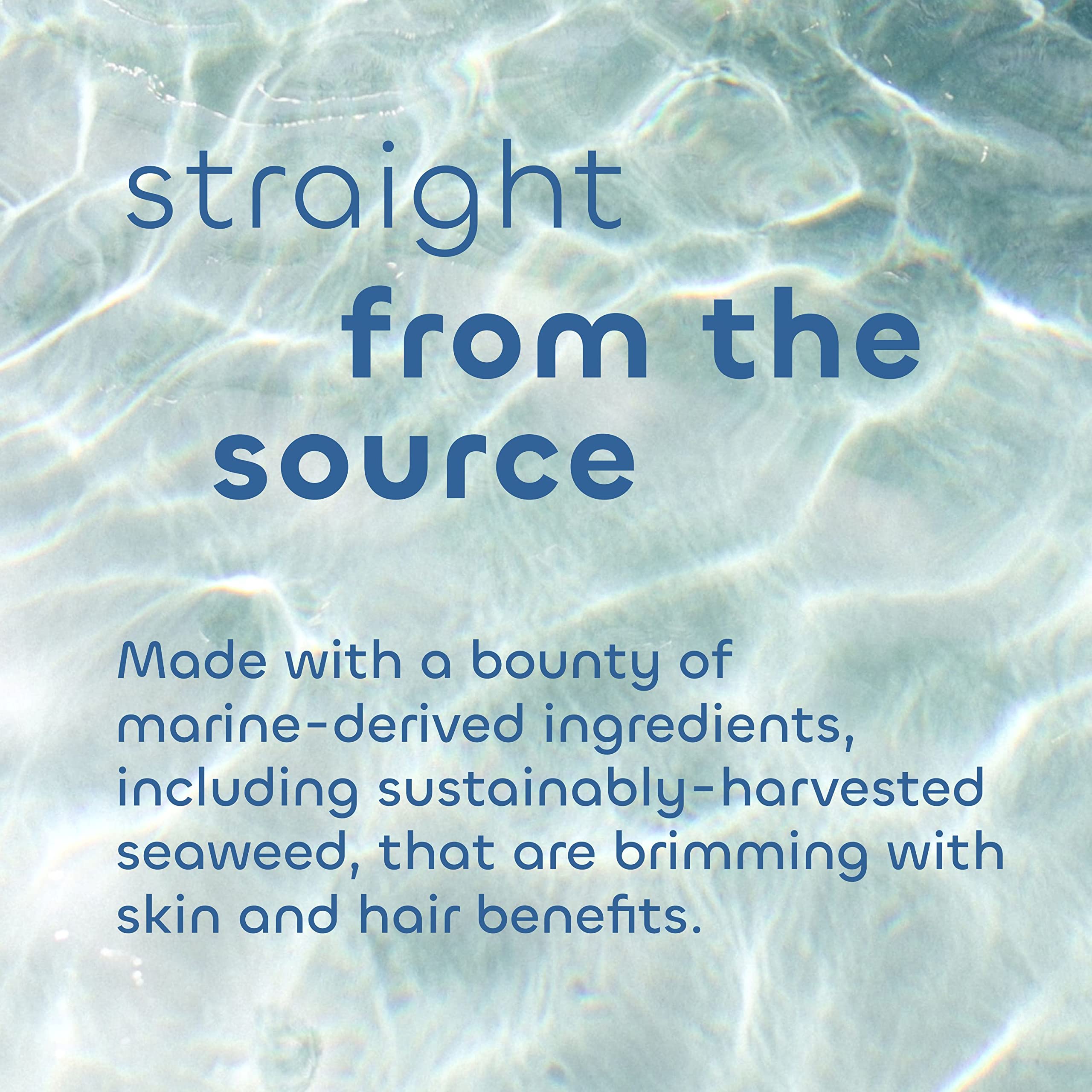 Seaweed Bath Co. Melt-In Water Lotion with sea grape nourishes skin.