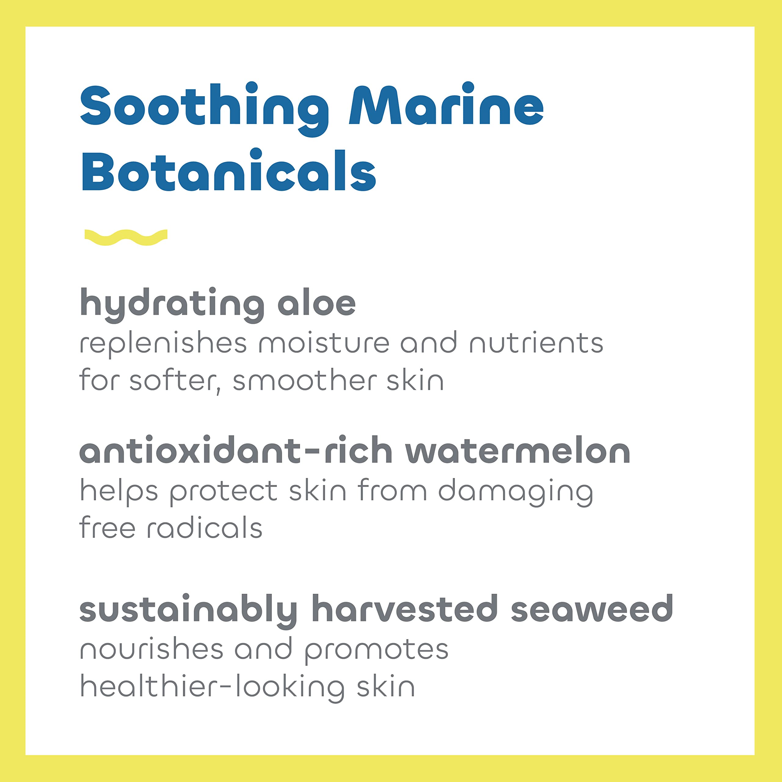 Seaweed Bath Co. Sustainably harvested seaweed signals ocean-conscious nourishment.