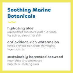 Seaweed Bath Co. Sustainably harvested seaweed signals ocean-conscious nourishment.