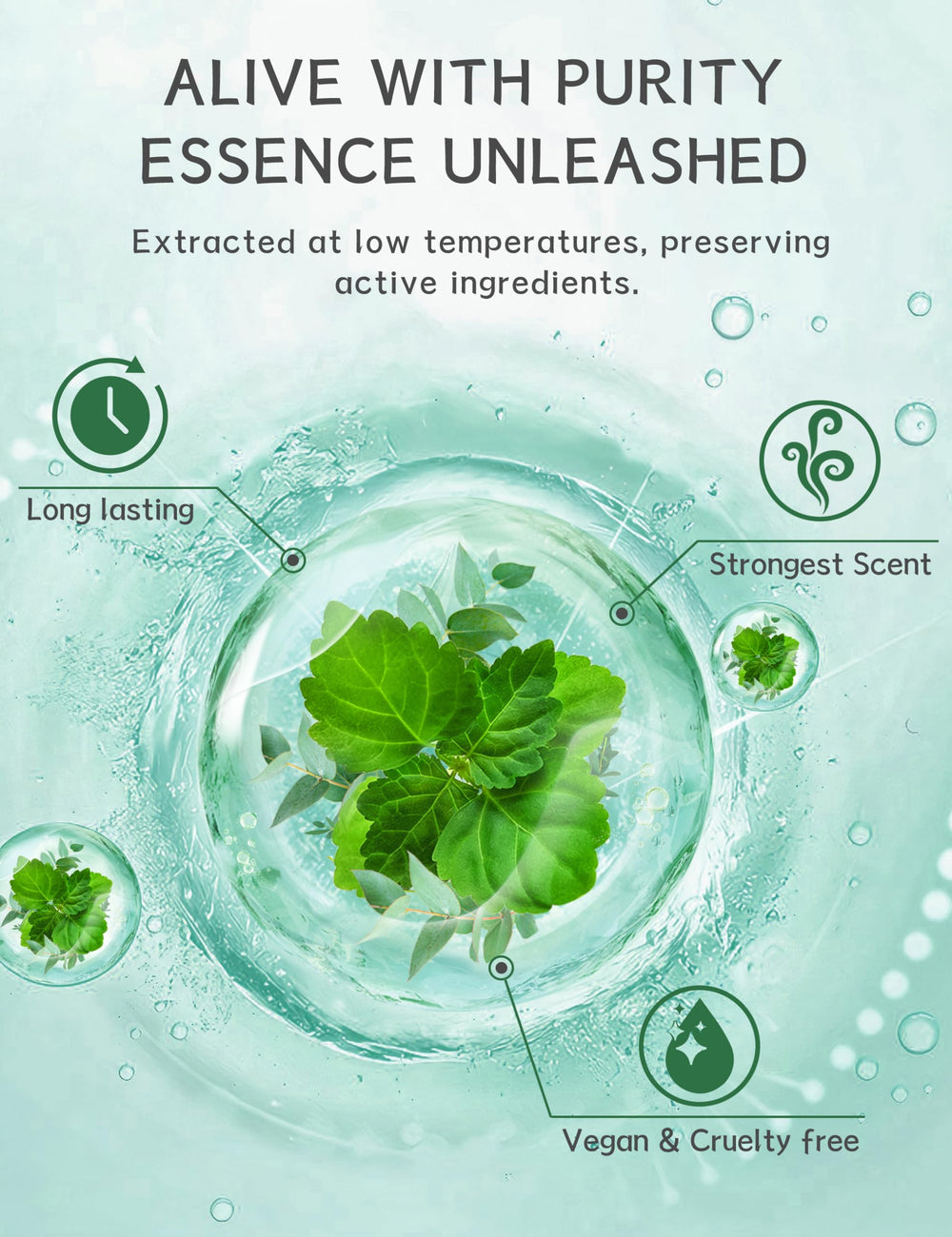Natural ingredients from SEONNIX show off menthol, peppermint, and eucalyptus oils.