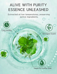 Natural ingredients from SEONNIX show off menthol, peppermint, and eucalyptus oils.