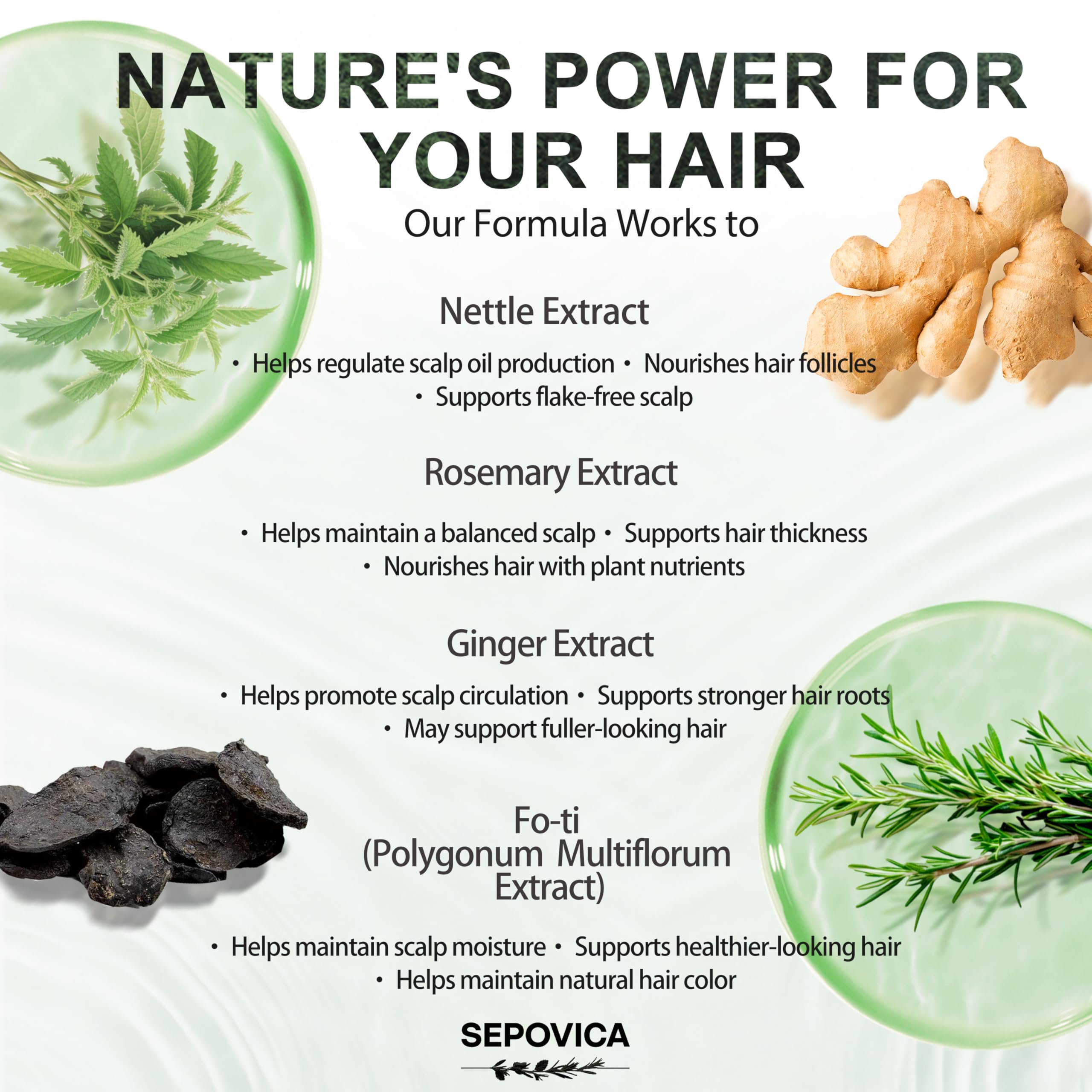 Scalp massage scene with SEPOVICA shampoo highlighting cooling botanical sensation.
