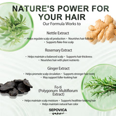 Scalp massage scene with SEPOVICA shampoo highlighting cooling botanical sensation.