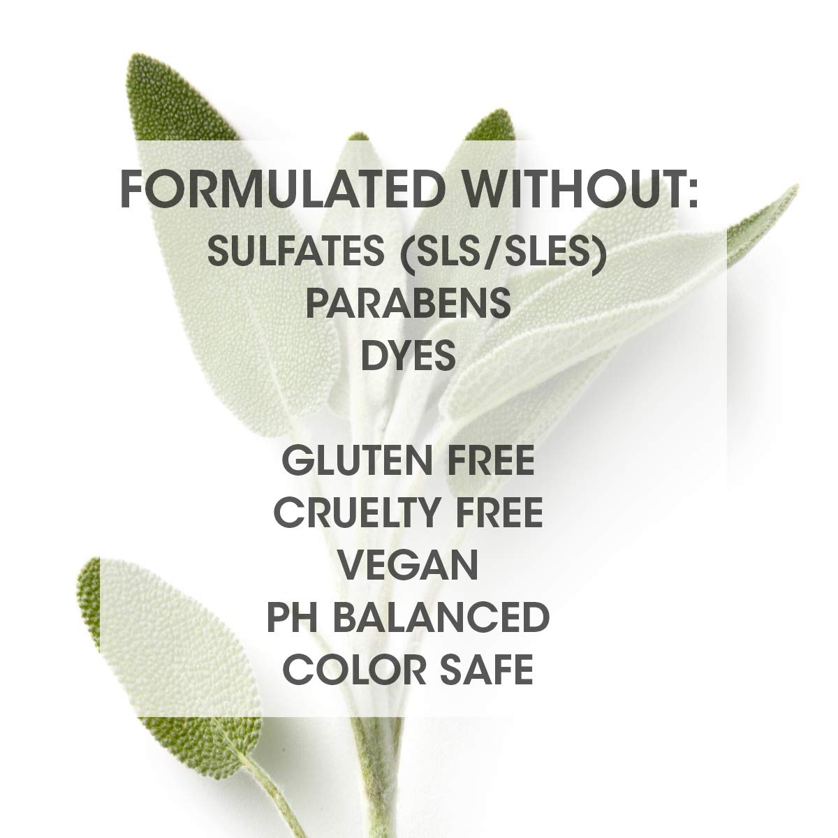 Hydrolyzed quinoa texture in SEVEN Satara conditioner