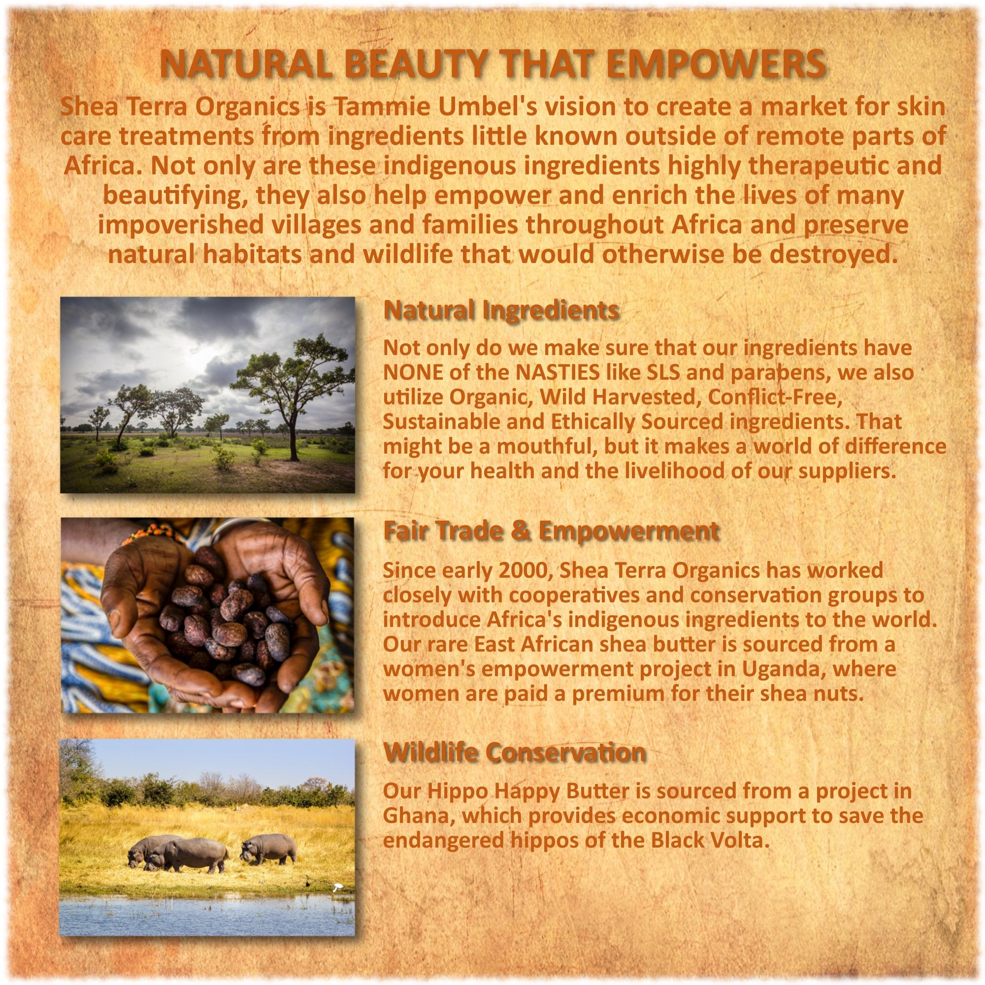 Shea Terra Nilotik’ is cruelty-free and fair-trade skincare branding.