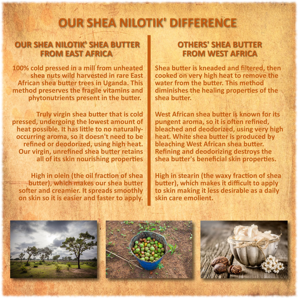 Packaging front featuring Shea Terra Organics Nilotik’ lotion and eco-friendly claims.