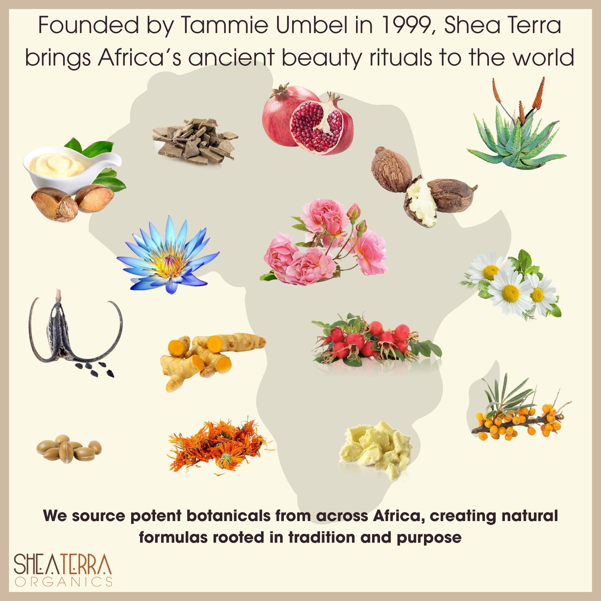 Shea Terra Organics Moroccan Argan Oil application image for nourishing dry hair and shine.