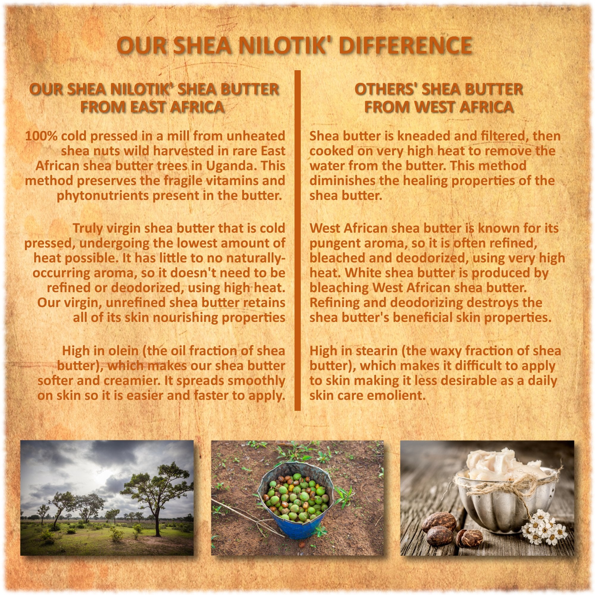 Shea Terra Organics Nilotik’ uses pure spring water for natural feel.